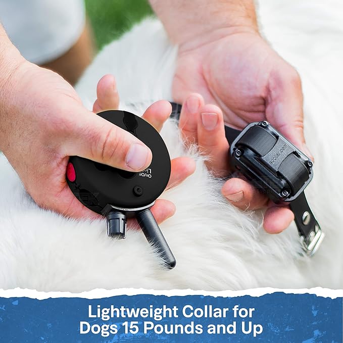 Educator ET-302 Black Mini E Collar for Dog Training with Remote - 1/2 Mile Range, Waterproof, 100 Blunt Stimulation Levels, Tone or Vibration Mode, Night Light for Small, Medium & Large Dogs (2 Dogs)