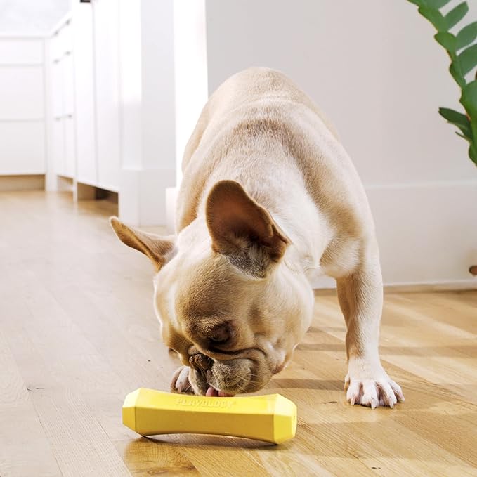 Playology Dog Toys | Durable Squeaky Chew Stick for Dogs (Value 2-Pack) | Medium Chicken Scented Toy - Easy to Clean and Made from Non Toxic Materials