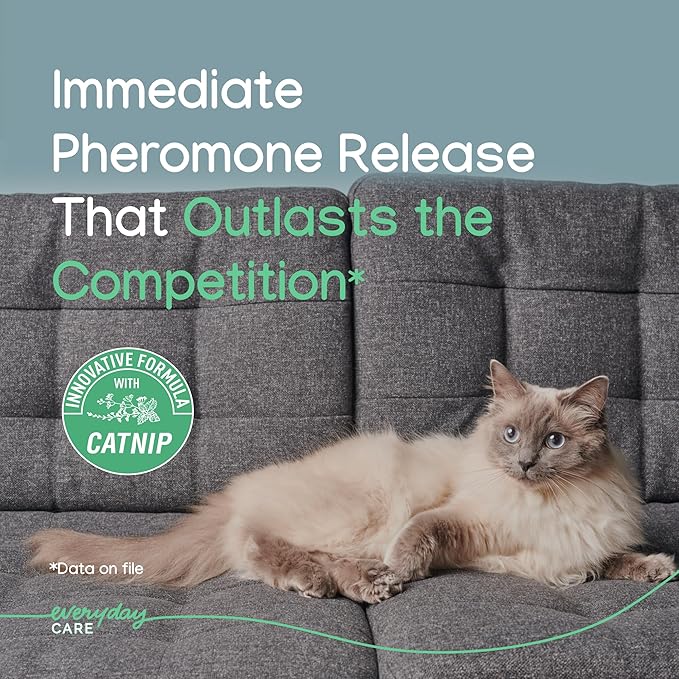 Virbac ZENIFEL Gel Diffuser for Managing Stress-Related Behaviors in Kittens & Cats - No Electricity Needed - Lasts Up to 2 Months