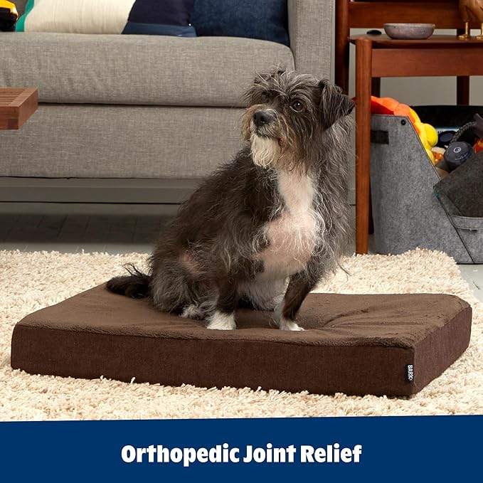 Barkbox Orthopedic Dog Bed with Memory Foam, Premium Comfort for Dogs and Puppies, Dog Bed for Joint Relief and Restful Sleep, Durable and Easy to Clean - Espresso, Medium