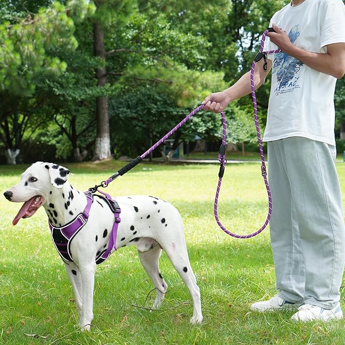 Cymiler Hands Free Dog Leash, 8 Ft Reflective Cross-Body Pet Rope Leashes with Sponge Handle, Heavy Duty Nylon, for Running, Hiking, Training, Waist Leash for Small Medium Large Dogs (Purple)