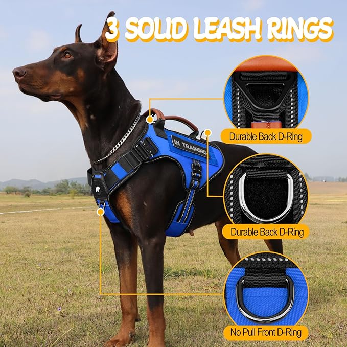 Service Dog Vest - HEYCAHVA Tactical Dog Harness Full Metal Buckles Dog Vest for Large Medium Dog Reflective No Pull Dog Harnesses with Leather Handle, Hook & Loop for Hiking Training (Blue, M)