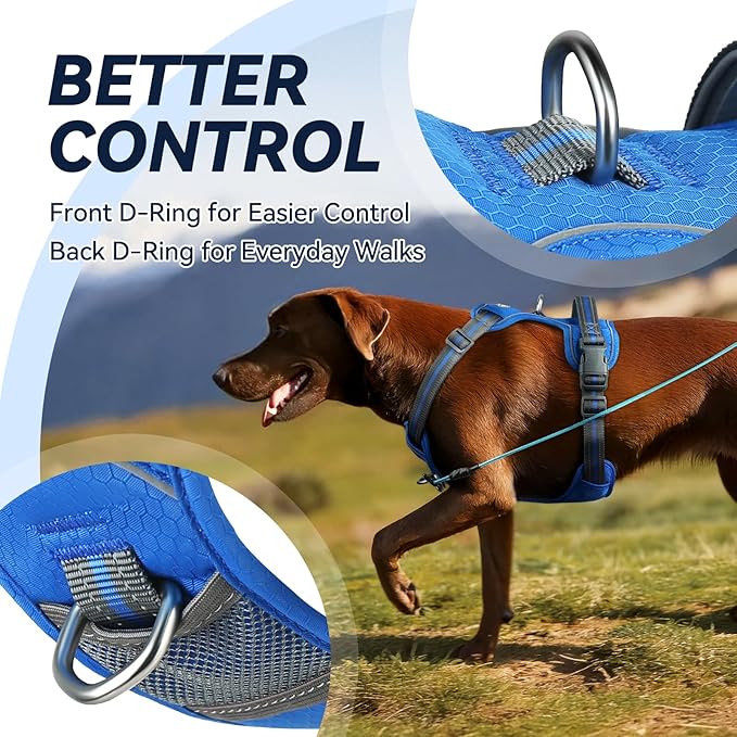 VIVAGLORY Dog Harness Easewalk No Pull Dog Harness with Handle & Front Back Clip for Training Lifting, Easy On Adjustable Padded No Pull for Pet & Puppy, S, Royal Blue