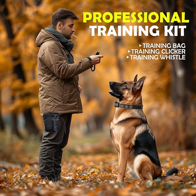 PATPET Dog Training Collar, 1.2 Mile Range 101 Training Levels Dog Shock Collar with Remote Control (15-150 lbs), Waterproof 100% Safe E Collar for Large Breed for Dogs Black with Bright Green