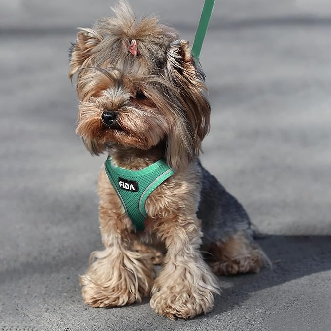 Fida Cat Harness and Leash Set for Walking Kitten and Puppy, Escape Proof Kitten Harness with Breathable Lightweight Soft Mesh, Adjustable Reflective Step-in Design. (S, Green)