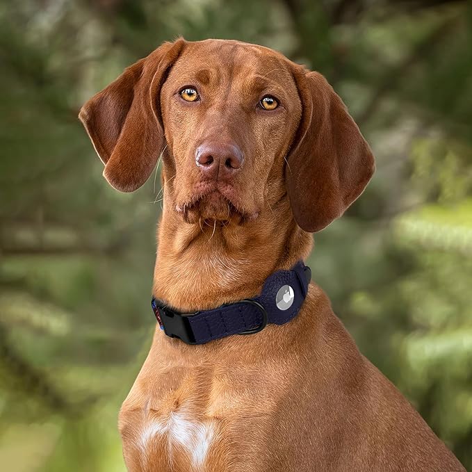 AirTag Dog Collar with Metal Buckle - Printed Nylon Soft Leather Dog Collar with Apple AirTag Holder - Secure Tracking GPS Pet Collars for Girl Boy Small Large Dogs (XS, 9"-12" Neck Fit, Donuts)