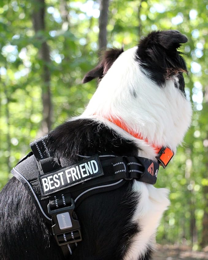 AUROTH Dog Harness and Leash Set, Soft Padded Service Dog Vest with 5.25FT Dog Leash, No Choke, Easy On Pet Vest, Adjustable Reflective No Pull Pet Vest Medium Sized Dog, Easy Walking and Training