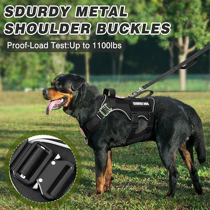 Tactical Service Dog Vest and Leash Set,Heavy Duty Harness with Metal Buckles for Medium Sized Dogs,Adjustable No Pull Pet Vest with Patches for Training Working,Black M