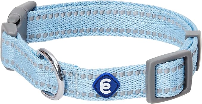 Blueberry Pet Essentials Reflective Dog Collar & Leash Set, Adjustable for Large Dogs | Safe Walking Gear for Pet Parents, Puppy Training & Daily Use LargeDogs, Baby Blue