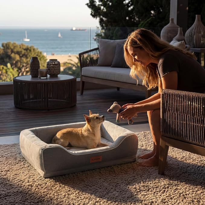 Orthopedic Small Dog Bed Washable for Small Size Dogs,Cooling Gel Memory Foam Sofa Bed with Removable Waterproof Cover & Sides,for Old Pets or Cat with Joint Pain,24"x18"x6"Grey