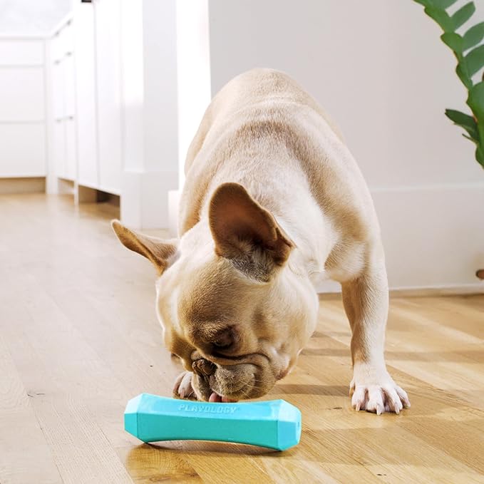 Playology Dog Toys | Durable Squeaky Chew Stick for Dogs (Value 2-Pack) | Medium Peanut Butter Scented Toy - Easy to Clean and Made from Non Toxic Materials