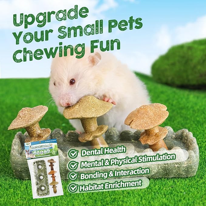 TEEWY Guinea Pig Chew Toys, Prevent Teeth Overgrowth, Natural Timothy Grass & Vegetables, Hamster Chew Toys, Guinea Pig Toys, Chinchilla Toys, 4PCS, Grass Patch & Mushrooms