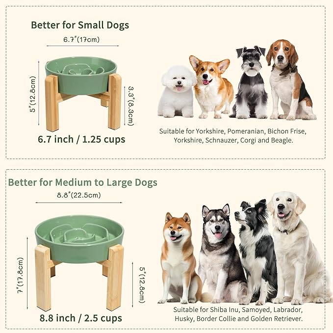 Elevated Slow Feeder Dog Bowl - Ceramic Maze Food Dish with Bamboo Stand - Raised Feeding Bowl for Fast Eaters - Ideal for Small and Medium Dogs - Green - 6.7 inch