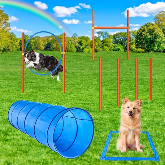 XiaZ Dog Agility Equipments, Obstacle Courses Training Starter Kit, Pet Outdoor Games for Backyard Includes Dog Tunnel, Jumping Ring, High Jumps, 4 Pcs Weave Poles, Pause Box with Carrying Case