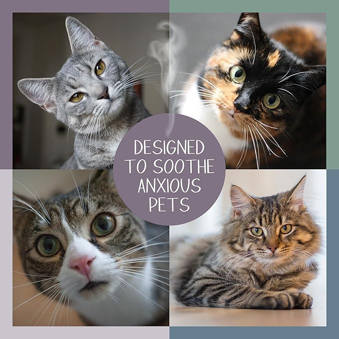 Calming Pheromone Diffuser for Cats with 3 Scented Pads, Pet Anxiety Relief with a Gentle Fragrance