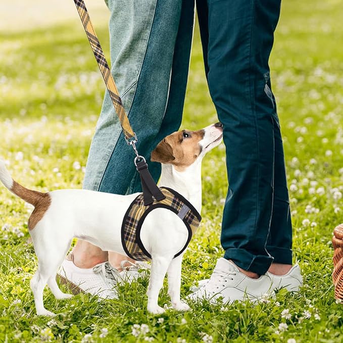 PUPTECK Adjustable Dog Harness Collar and Leash Set Step in No Pull Pet Harness for Small Medium Dogs Puppy and Cats Outdoor Walking Running, Soft Mesh Padded Reflective Vest Harnesses, Yellow, XS