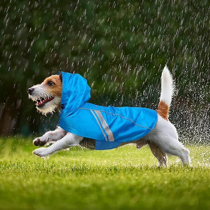 VIVAGLORY Wetoff Dog Raincoat, Rain Coat for Dog All Seasons Adventure, Rain Jacket with Harness Hole & Hood, Reflective Lightweight Waterproof for Doggy & Puppy, XS, Blue