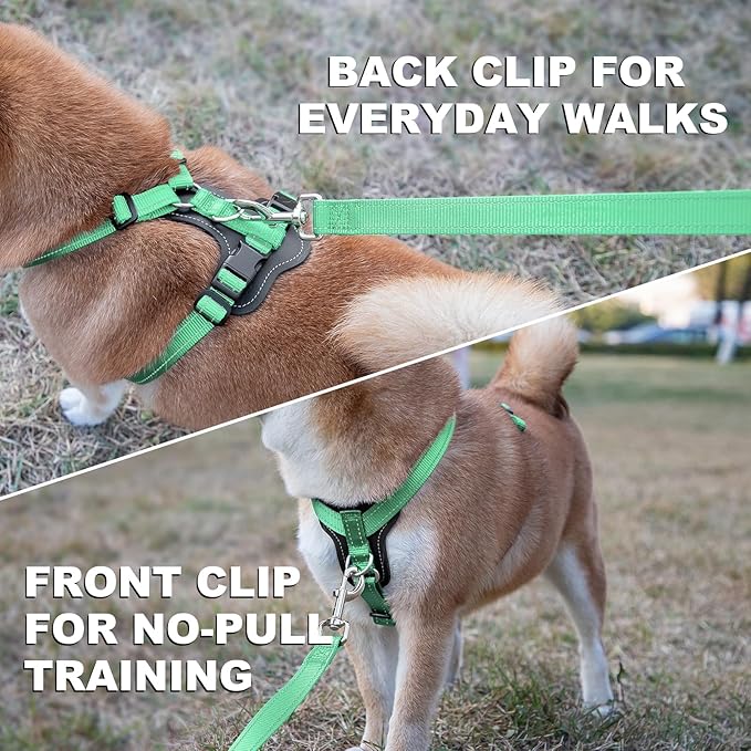 Plutus Pet Adjustable No Pull Dog Harness with Leather Accents, Heavy Duty Reflective Nylon Vest for Training, Hiking, Easy Walk Harness for Small, Medium, Large Dogs (Teal, M)