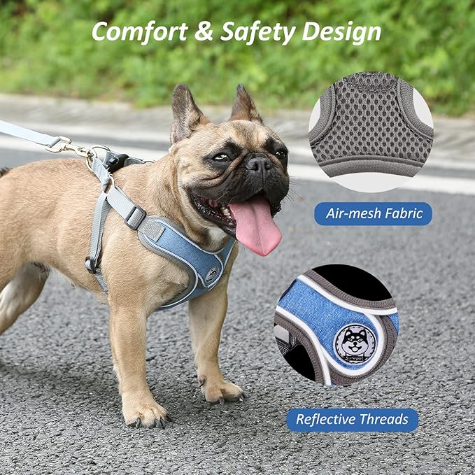 Dog Harness with Leash Set, Adjustable Step in Collars Harness with Breathable Padded Vest for Small Medium Large Dogs Training and Running(M, Blue)