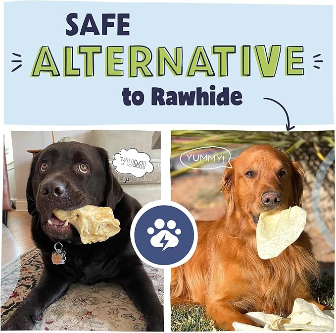 Pawstruck Natural Jumbo Cow Ears for Dogs - Healthy Rawhide Free, Highly Digestible Low Calorie & Long Lasting Dental Chew Treat for Small, Medium, Large Chewers - Pack of 10 - Packaging May Vary