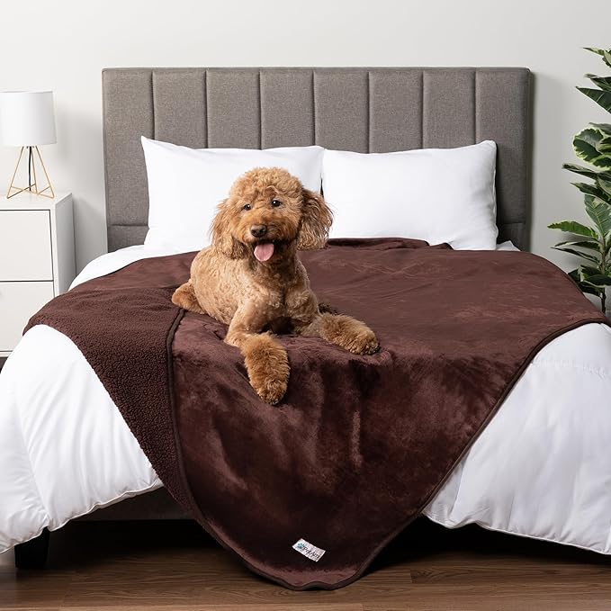 PetAmi Waterproof Dog Blanket for Medium Large Dogs, Pee Proof Pet Blanket for Couch Bed, Reversible Water Proof Blanket for Puppy Indoor Cat, Soft Dog Fleece Blankets Washable, 40x60 Brown