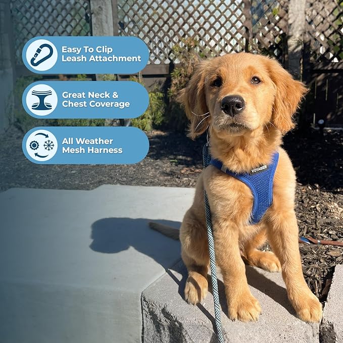 Voyager Step-in Air All Weather Mesh Harness and Reflective Dog 5 ft Leash Combo with Neoprene Handle, for Small, Medium and Large Breed Puppies by Best Pet Supplies - Set (Royal Blue), L