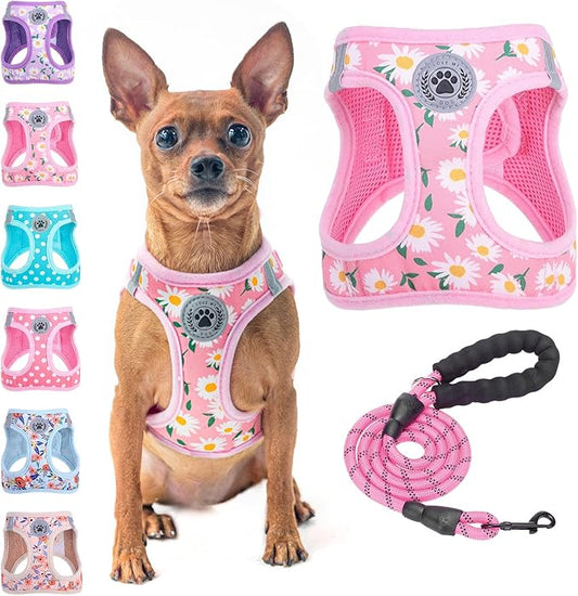 BEAUTYZOO Step in Dog Harness and Leash Set, Floral Pattern Reflective Dog Harness No Pull No Choke Puppy Harness for XXS XS S Dogs Cats, Soft Padded Mesh Vest Harnesses for Girl and Boy Pets