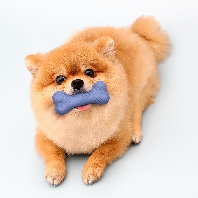 Playology Dog Toys | Dual Layer Bone Durable Chew Toy Bone for Dogs | Small Blueberry Scented Toy - Easy to Clean and Made from Non Toxic Materials