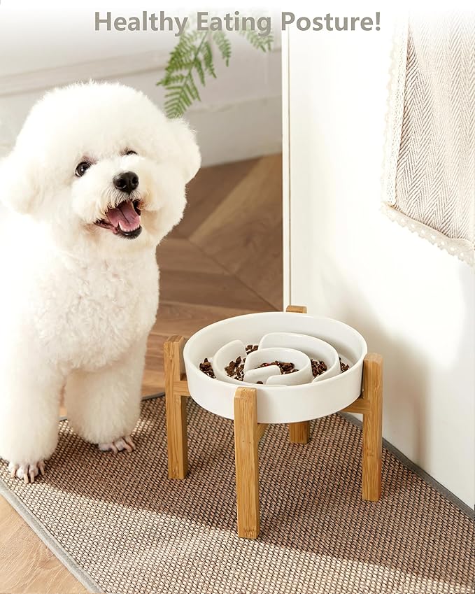 Ceramic Slow Feeder Dog Bowls Elevated, 2.0 Cups Slow Feeder for Medium and Large Dogs, Puzzle Maze Bowl to Slow Down Eating, 30oz, 8in, White