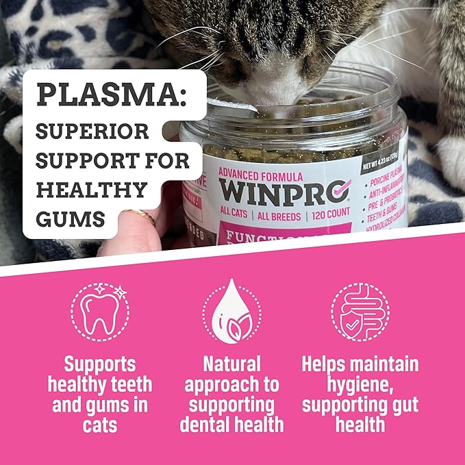 WINPRO Functional Dental Bites for Cats, Plasma-Powered Formula for Supporting Healthy Teeth and Gums, Probiotic Blend, Catnip Flavor, All Cat Breeds, 120 Count