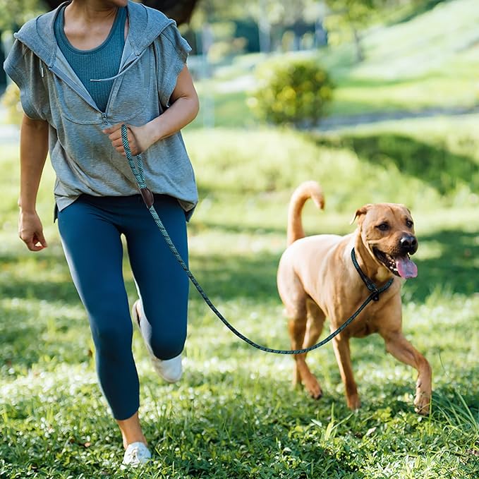 TwoEar Slip Leads for Dogs, 1/2" x 6FT Slip Leash for Large Dogs with Highly Reflective Threads, Comfortable Strong Rope Slip Leads, No Pull Pet Training Leash, Blue