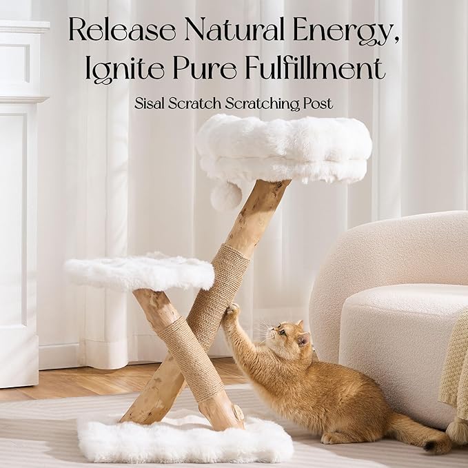 Solid Wood Cat Tree, Modern Cat Tree Tower for Large Indoor Cats, Natural Real Pear Wooden Aesthetic Cat Condo with Scratching Post for Adult Kittens-White