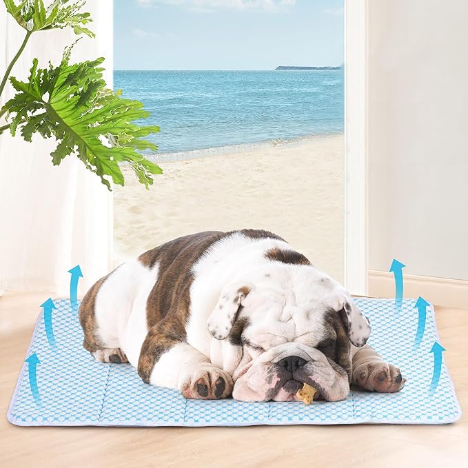 Dog Cooling Mat for Medium Dogs - 30x20 Orthopedic Memory Foam Pet Pad for Summer, QMAX>0.5, Washable Premium Comfort Crate Pad for Your Furry Companion, Blue