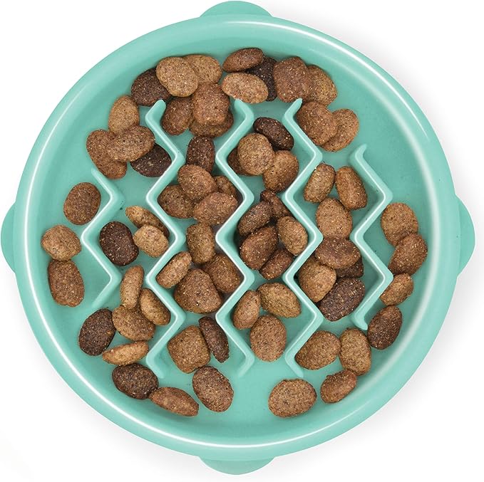 Outward Hound Small Fun Feeder Slow Bowl, Puzzle for Fast Eaters, Puppies, Cats & Small Dogs, Wet or Dry Food, Helps Prevent Bloat & Aid Digestion, 3/4 Cup Capacity, Non-Slip, Made Without BPA, Mint