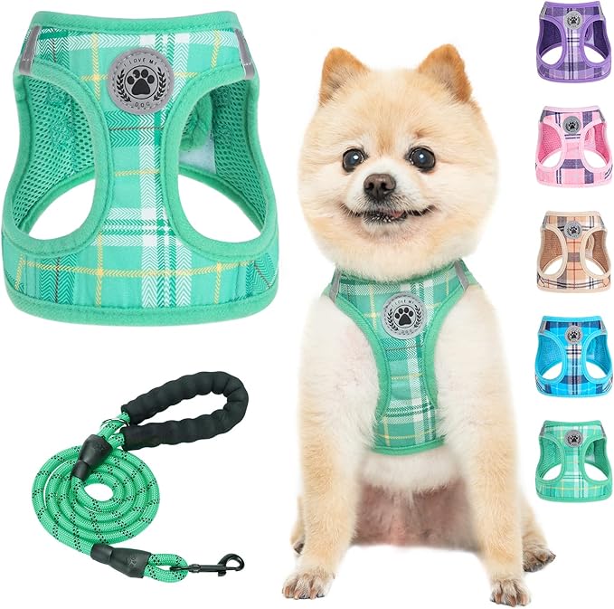 BEAUTYZOO Small Dog Harness and Leash Set,Step in No Choke No Pull Soft Mesh Dog Harnesses Reflective for Extra-Small Medium Puppy Dogs and Cats, Plaid Dog Vest Harness for XS S Pets, Teal XS