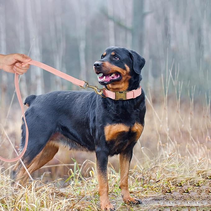 Didog Soft PU Leather Dog Collar, Stylish Quick Released Dog Collars for Large Dogs, Easy Clean Adjustable Pet Collar for Daily Walking, Pink, XL Fit 17-27" Neck