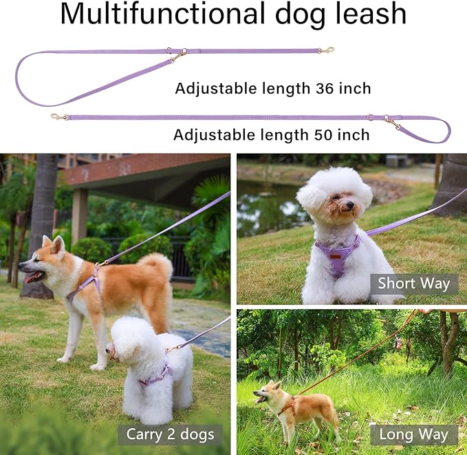 CHEDE No Pull Puppy Harness and Multifunction Dog Leash Set- 8 Colors Soft Adjustable No Choke Escape Proof Cute,Lightweight Pet Vest Harness for Small and Medium Dog (XS, Purple)