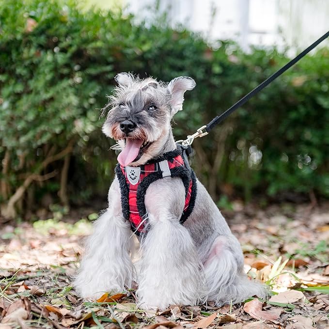 EXPAWLORER Fleece Lined Step-in Dog Harness - Soft Plush Padded Puppy Harness and Leash Set with Adjustable Dog Collar, No Pull Escape Proof Suede Dog Vest Harness for Small Dogs, Red & Black S