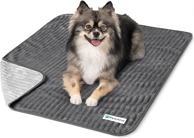 PetAmi Waterproof Dog Blanket, Leakproof Pet Blanket for Small Medium Large Dog, Reversible Furniture Bed Sofa Couch Cover Protector, Soft Striped Pet Throw for Indoor Cat, 24x32 in, Grey Light Gray
