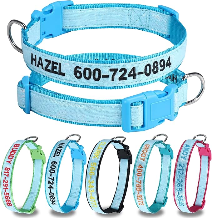 Personalized Reflective Dog Collars, Custom Glowing Luminous ID Collar Embroidered Name and Phone Number 4 Adjustable Sizes X-Small Small Medium Large for Boy and Girl Dogs (Fluorescent Glow)