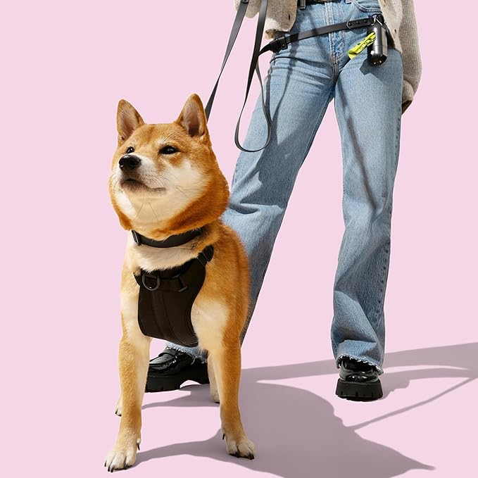 WLK1004I-5SET Luna Small 8FT Adjustable 6-in-1 Waterproof Hands-Free Leash and Collar with LED Flashlight, Bag Dispenser, and Poop Bag Holder, Bitters