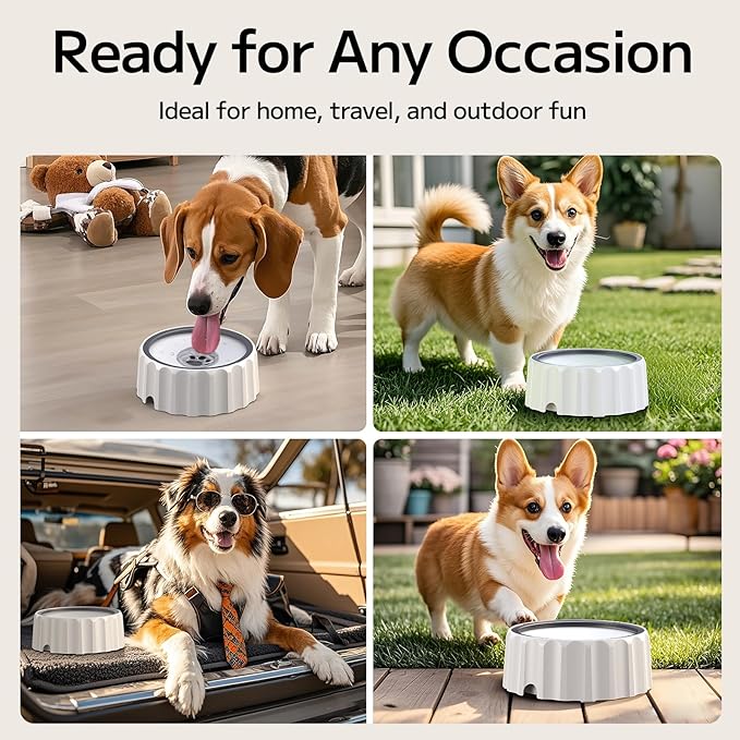 Dog Water Bowl 70oz/2L Large Capacity Water Dispenser No Spill Non Slip No Splash Pet Slow Feeder No Drip Vehicle Carried Travel Slow Drinking Bowl for Dogs Cat(White)