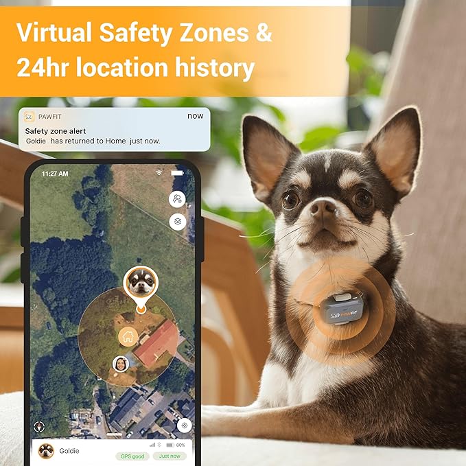 Pawfit Lite for Small Dogs 4g GPS Tracker | Real Time Tracking | Activity Monitoring |Location History | Unlimited Range | Charcoal Grey