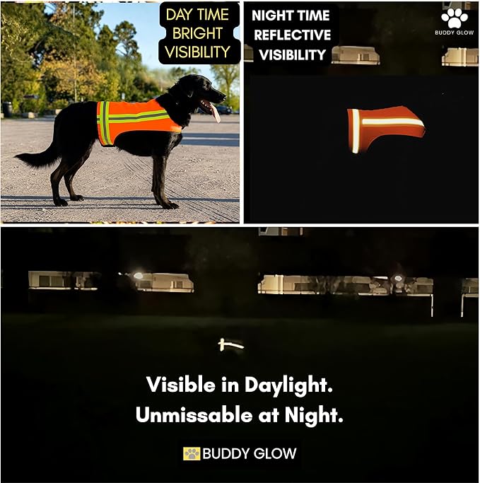 Reflective Dog Vest. Hi Visibility Blaze Orange Hunting Safety Vest Adjustable, Lightweight for Outdoor use - Hiking, Walking & Hunting. Water Resistant (Medium)