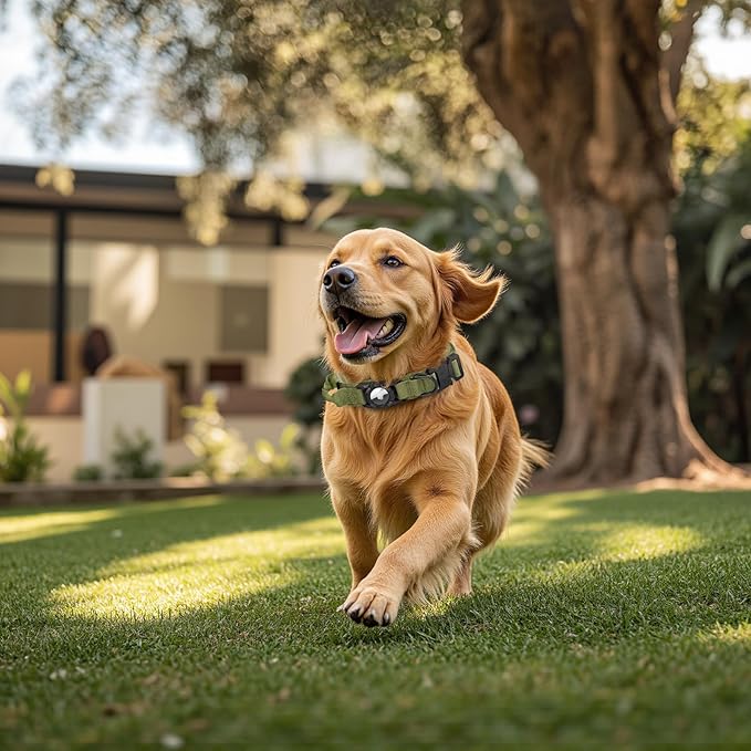 Tactical AirTag Dog Collar Leash Set - Heavy Duty, Adjustable GPS Collar Compatible with Apple AirTag, with Holder & Control Handle for Medium/Large Dogs [ Green, M ]