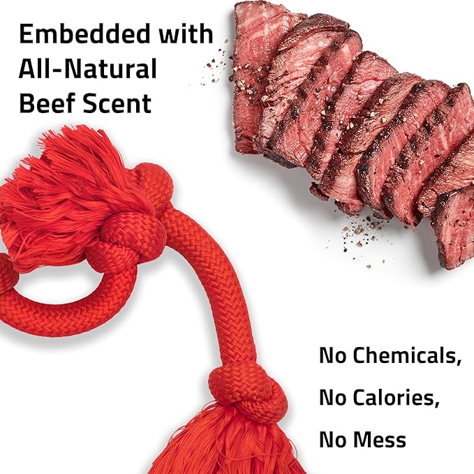 Playology Rope Toys for Dogs | Tug of War Dog Toy for Aggressive Chewers | Beef Scented Dog Toys | Mega Rope Toy for Interactive Play