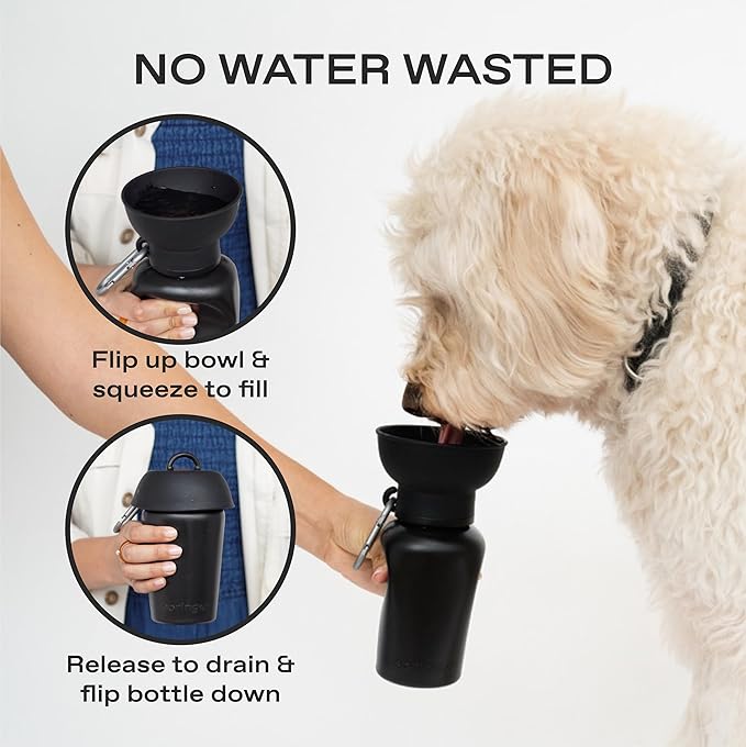 Springer by Springland Flip Portable Dog Water Bottle with Foldable Food Grade Silicone Bowl - 20 Ounce Travel Dog Water Bottle Ideal for Camping - Easy Squeeze Hydration & Release to Drain