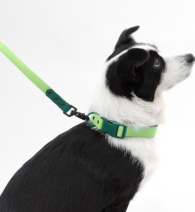 WLK1006B-5SET Luna Large 8FT Adjustable 6-in-1 Waterproof Hands-Free Leash and Collar with LED Flashlight, Bag Dispenser, and Poop Bag Holder, Mojito