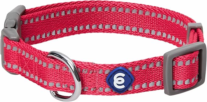 Blueberry Pet Essentials Matching Dog Collar & Leash Set | Pastel Reflective Adjustable Collar with 5 ft Lead for Medium Dogs, Very Berry