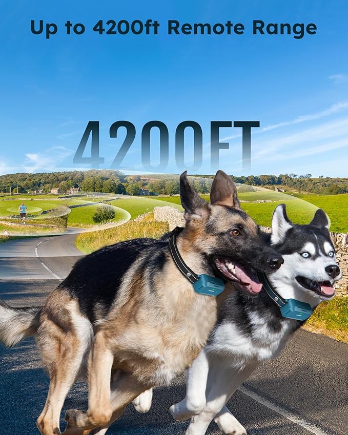 Jugbow Dog Shock Collar 2 Dogs - 4200FT Dog Training Collars with Remote, IPX8 Waterproof E-Collar for Dogs Training Rechargeable e-Collars for Large Medium Small Dogs (10-120lbs)